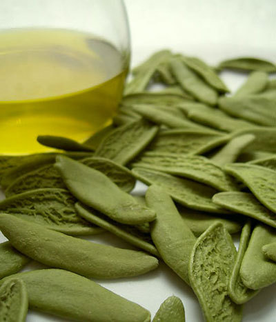 Herbal Antibiotics on Natural Antibiotic   Olive Leaf Extract Is Nature S Natural