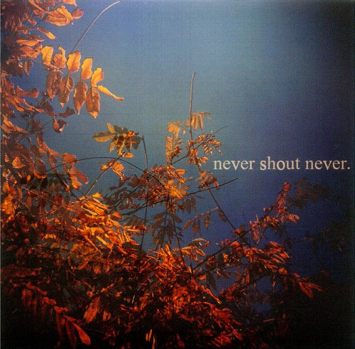 what is love nevershoutnever album. NEVERSHOUTNEVER WHAT IS LOVE